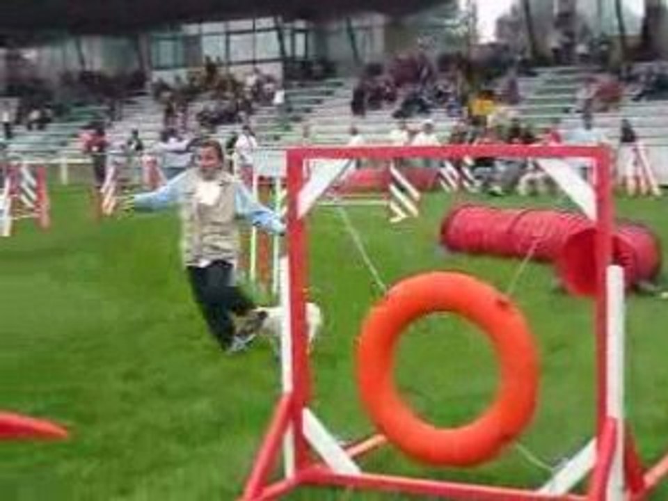 Chpt de France 08 Stanley 3eme Manche - Agility