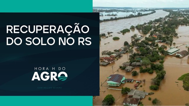 Guerra e fertilizantes preocupam produtores que enfrentam recuperação do solo no Rio Grande do Sul