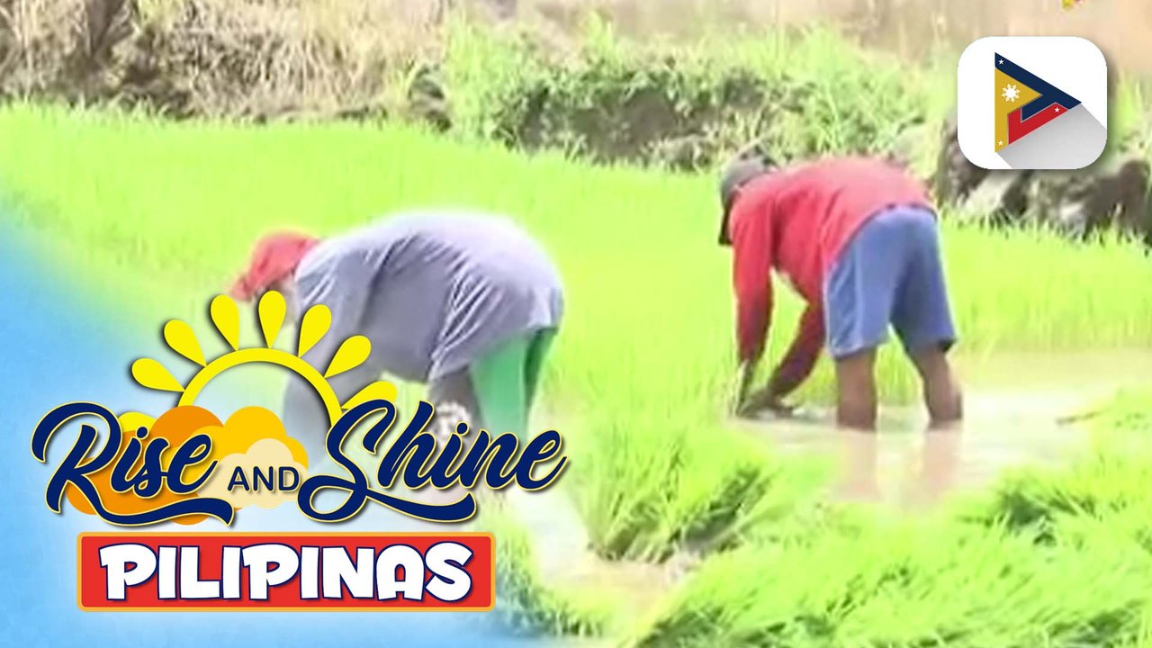 D.A., gumagawa na ng mga hakbang upang matiyak ang sapat na supply ng fertilizer sa bansa