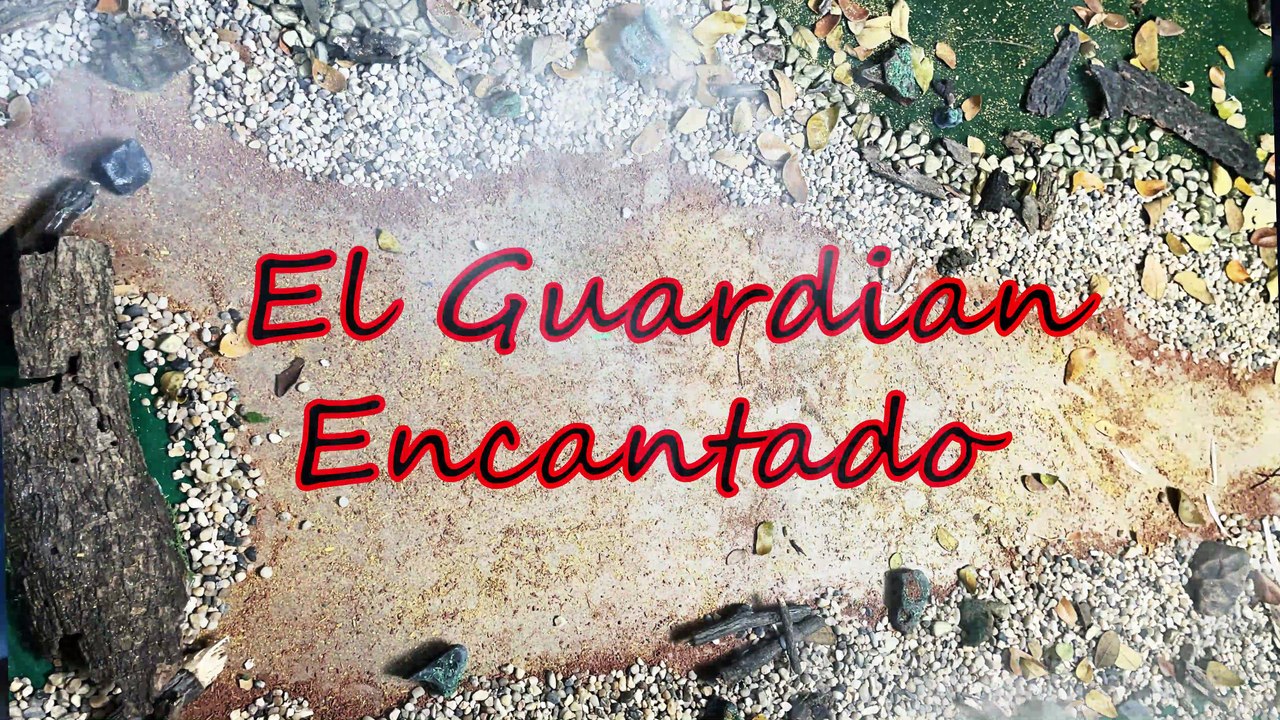Proyecto Final Video