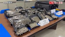 航警與台北關聯手破獲跨國運毒 攔截市值2千萬大麻
