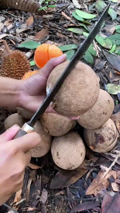 Fruit Cutting - ASMR Satisfaction