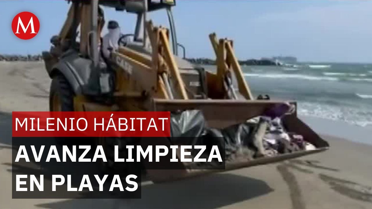 Recolectan 91 toneladas de residuos en playas de Veracruz y Tabasco | Milenio Hábitat