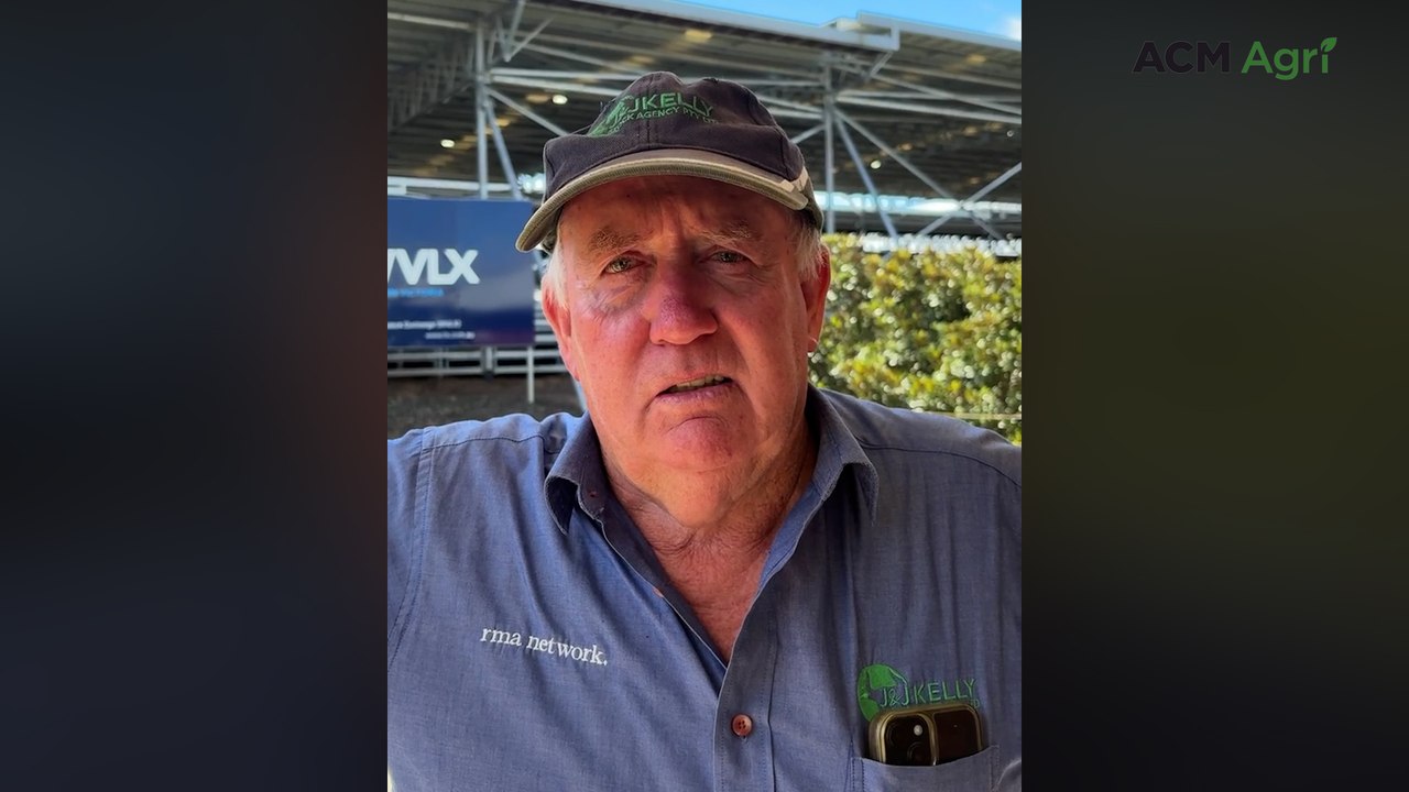 Feedlot demand drives strong results at Mortlake