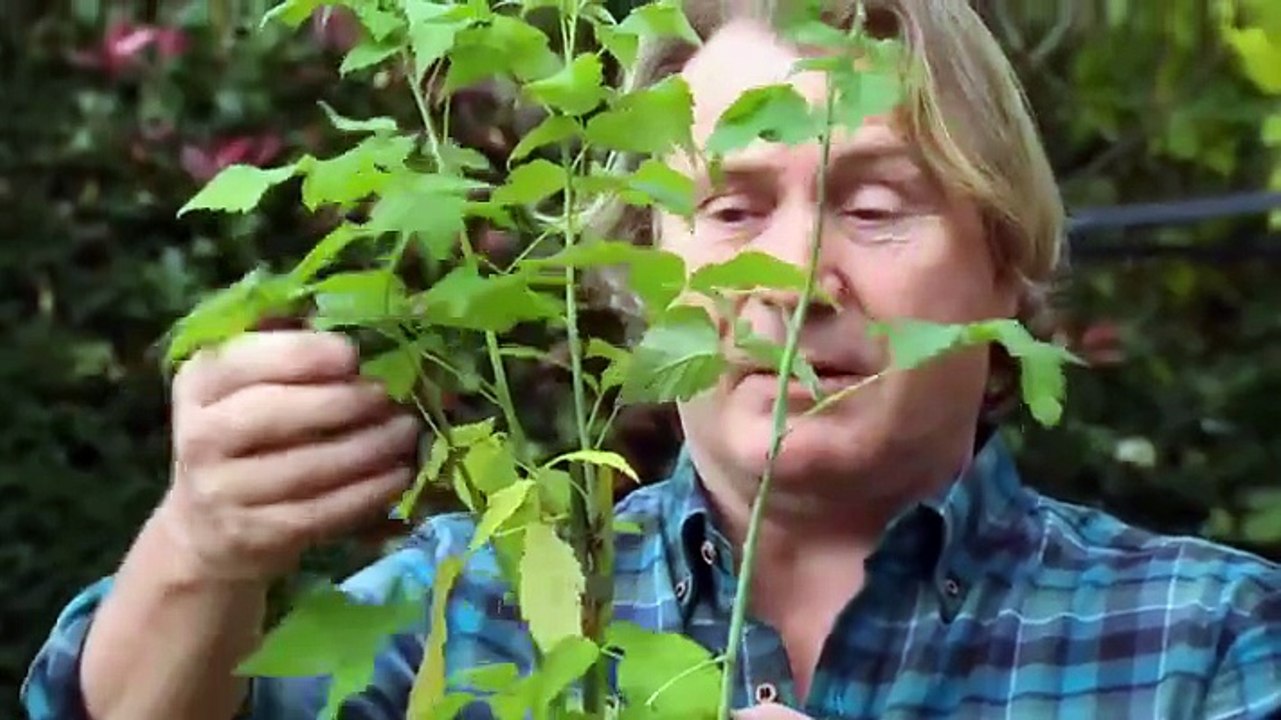 Saturday Morning With James Martin - Season 9 Episode 14 - Ardal O'hanlon, Raymond Blanc, Tom Shepherd And David Domoney - Video