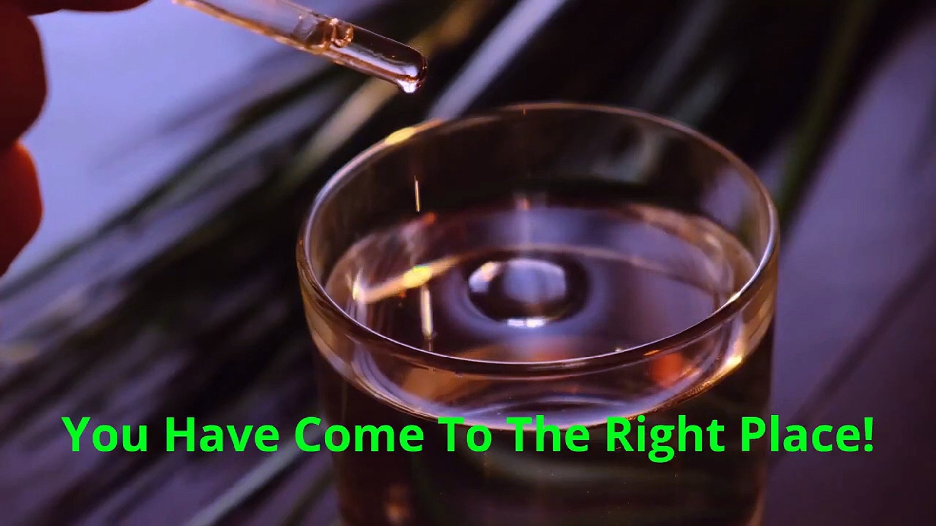 Celestial Stem - Affordable CBD Oil in Mesa, AZ