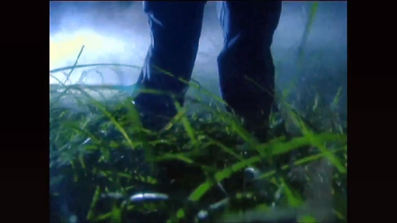 Resident Evil Intro
