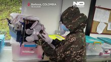 Colômbia: bebé de zogue-zogue-cinzento ganha 'mãe' de peluche antes de voltar à selva