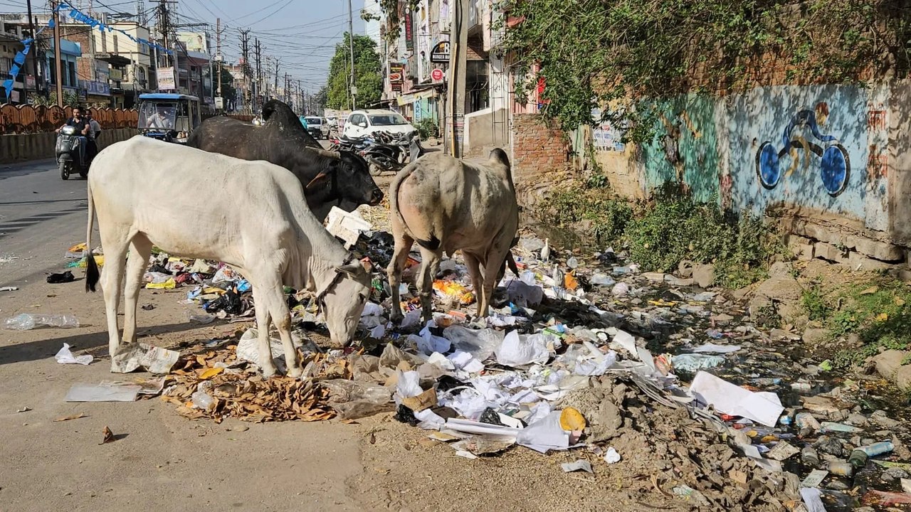 पर्याप्त संसाधन फिर भी पिछले तीन साल से लगातार...