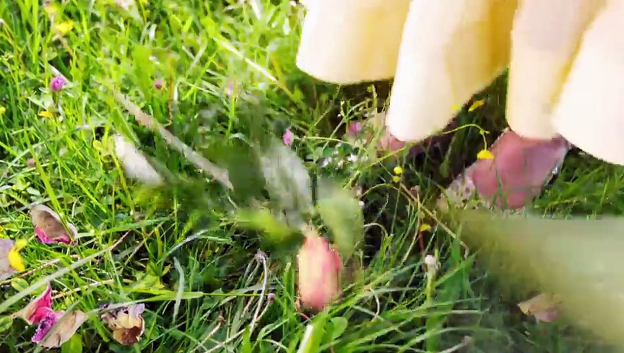 Sturm der Liebe 4558 folge