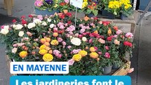 Le printemps débute et les jardineries font le plein en Mayenne