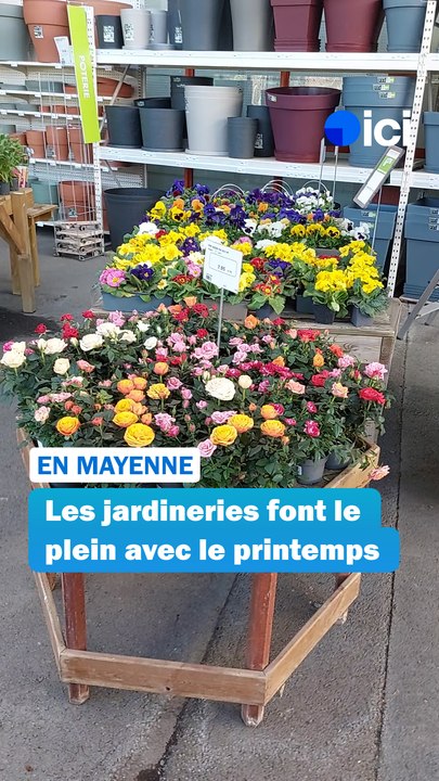 Le printemps débute et les jardineries font le plein en Mayenne