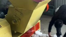 Plastic PelIf you need a plastic granulator, please contact me.如果您需要塑料造粒机请联系我 letizing Recycling Plant #plastic #recycling #granulation #machine塑料造粒回收厂