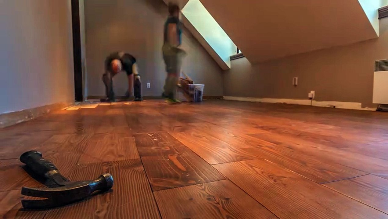 TEST Video Beta