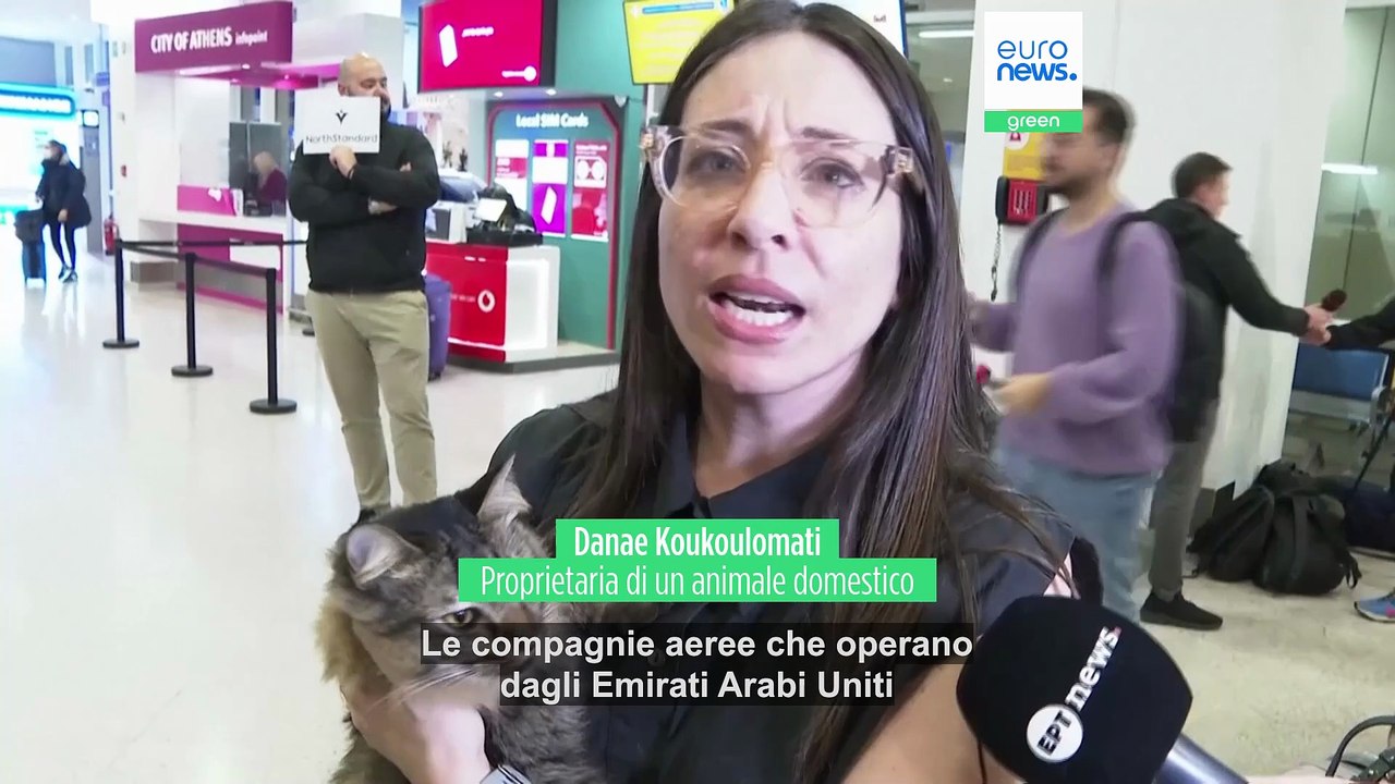 Atene, atterrato volo da Abu Dhabi con cittadini greci e i loro animali domestici