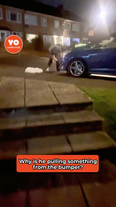 Driver Rescues Stuck Deer from Car Front