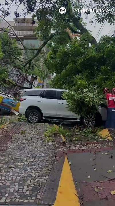 Árvore cai sobre carro e atinge posto de gasolina em Belo Horizonte