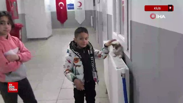 Suriyelilerin gönüllü geri dönüşü bayram öncesi de sürüyor