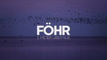Föhr - 5 Meter über Null Trailer DF