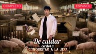De Cuidar Cerdos A Conquistar A La Jefa VersióN Completo - Doblada al español | Película Full HD