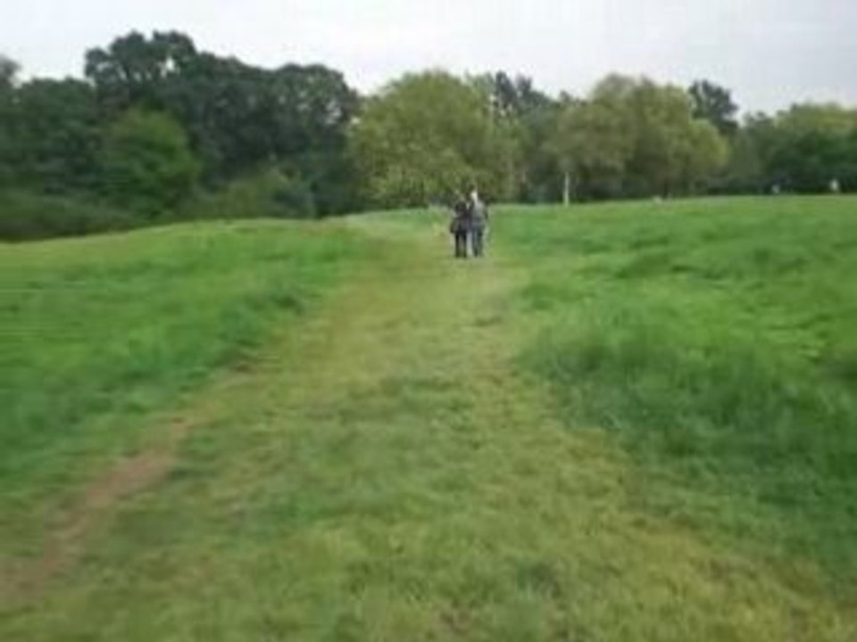 Hamstead Park 2