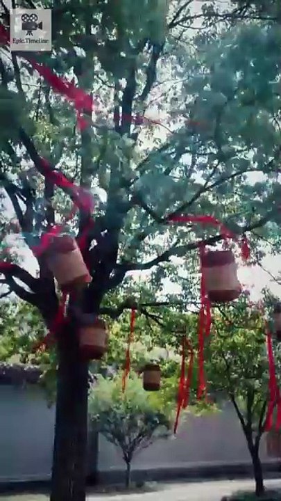 Crimson Judgement Engsub Drama X