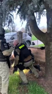 Image from field_mediaid