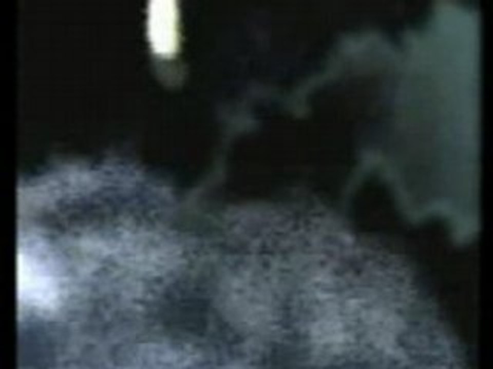 =Kitty In The Sky=