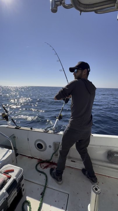 Bladed octopus en action de pêche