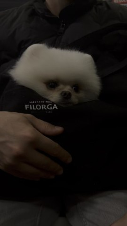 My little explorer navigating the P a r i s M e t r o 🥹