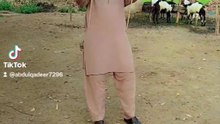 Punjabi mahol