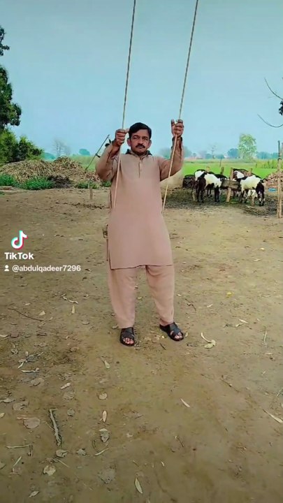 Punjabi mahol