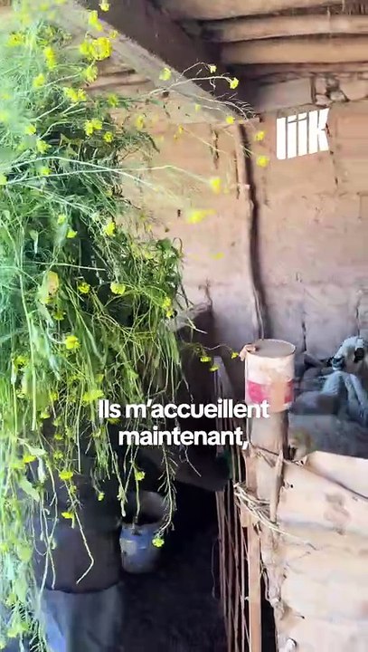 🌾Lui, c’est Mohammed Choula et c'est un agriculteur heureux
