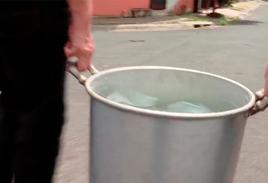 tn7-6 de cada 10 acueductos fallan en calidad y detectan agua con contaminación fecal