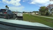 Florida man caught on camera driving backwards after ‘car got stuck in reverse’