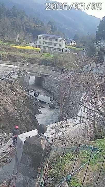 Terrifying moment car plunges backwards into creek
