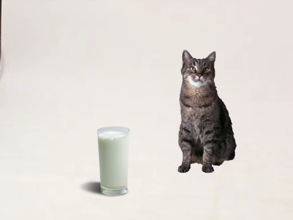 Dorling Kindersley - Touch And Feel Farm Video - Cat Drinking Milk (2000) (HD Version)