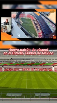 Nuevo patrón en el césped para el mundial