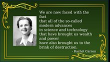 Inspiring Quotes from Rachel Carson: Nature, Wonder & Our Place in the Universe