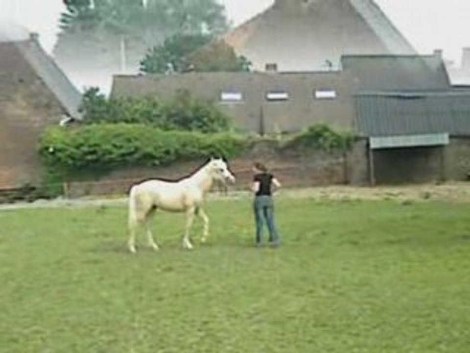 SansTitre_0001