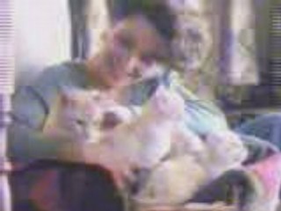 Humour les nuls pub kwiskas