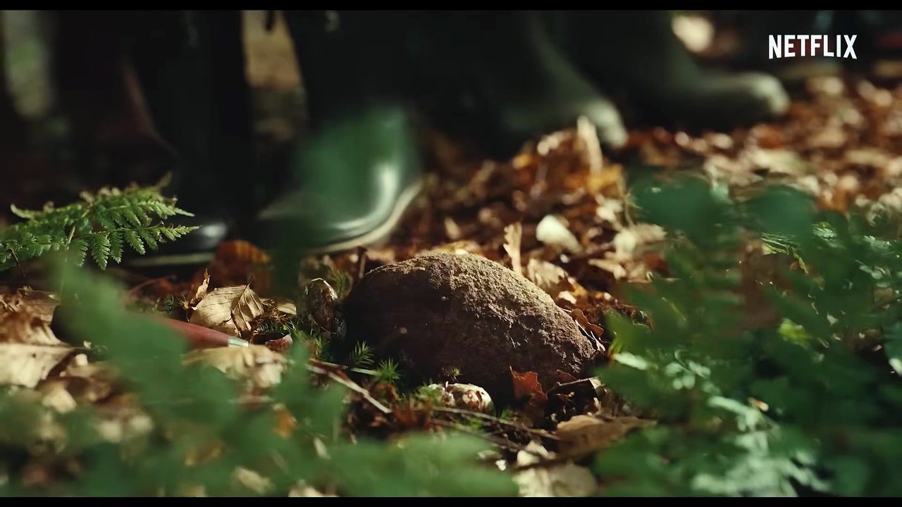Season 2 of The Chestnut Man