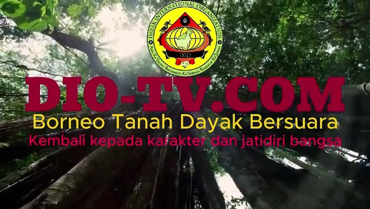 Impunitas Kejahatan Dinasti Pembiaran Merry Kendalikan IKS IKA BSI Erosi Legitimasi Institusi Penegak Hukum di Provinsi Kalimantan Barat