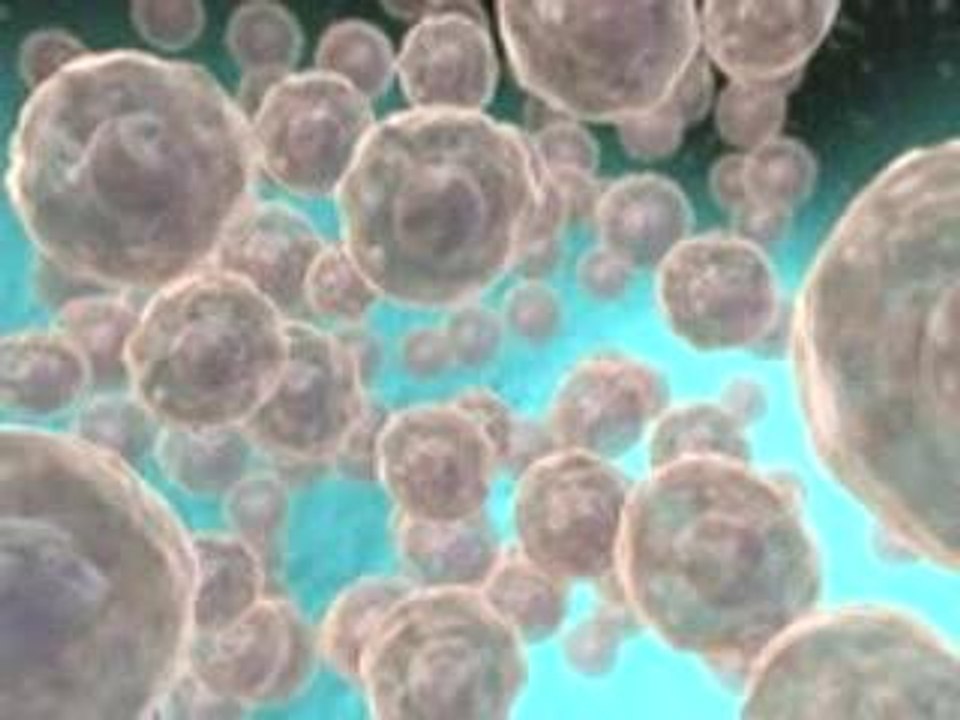 animation 3d la Vaccination