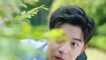 Il Giovane Master - Basta eredità, voglio lavorare!