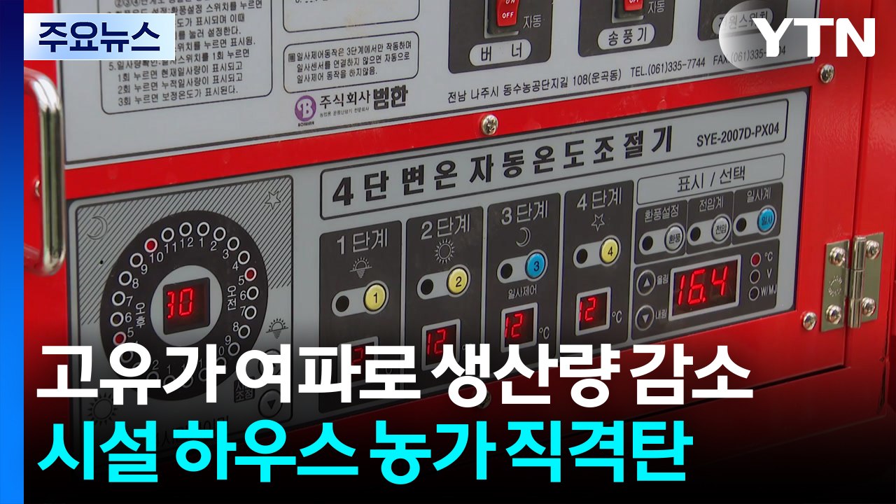 고유가 여파로 생산량 감소...시설 하우스 농가 직격탄 / YTN