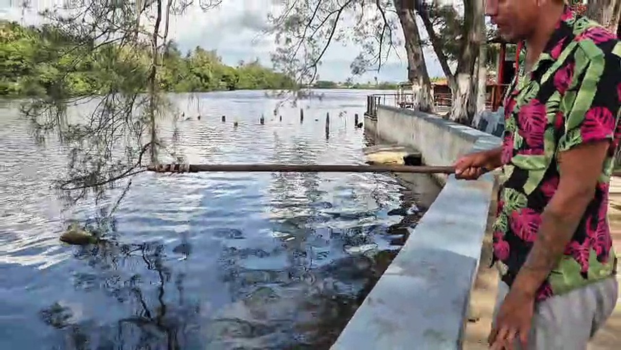 Aparecen peces muertos tras incendio en Refinería de Dos Bocas en Paraíso, Tabasco | VIDEO