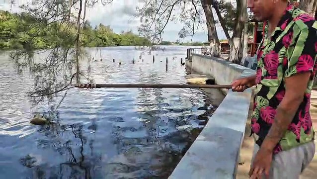 Aparecen peces muertos tras incendio en Refinería de Dos Bocas en Paraíso, Tabasco | VIDEO