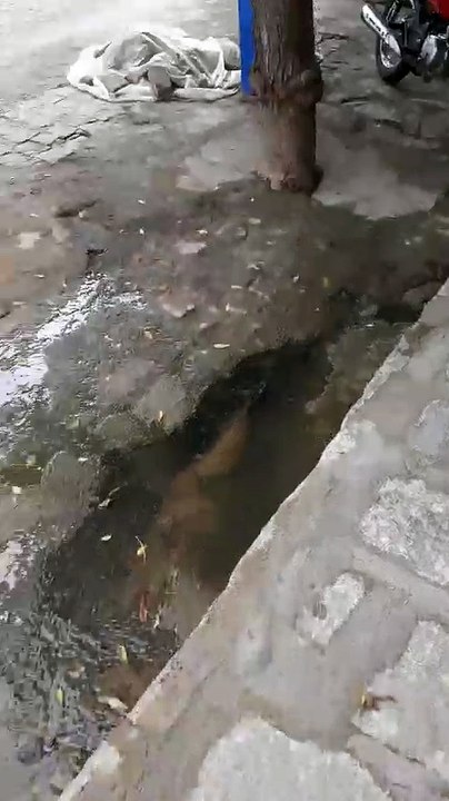 Galeria estoura novamente e causa infiltração em residência no bairro Jatobá, em Patos