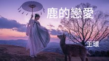 王璟-鹿的戀愛『我要  和你飛翔一起  穿越  最美的草地』#王璟 #鹿的戀愛【動態歌詞/Lyrics Video】